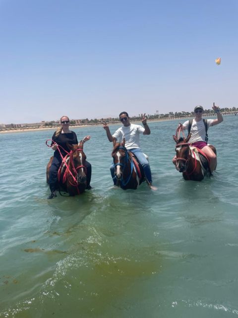 Hurghada: Ridning i ørkenen og havet
