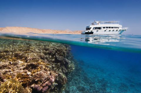 Charm : sortie en yacht vers l'île de Tiran depuis Charm el-Cheikh