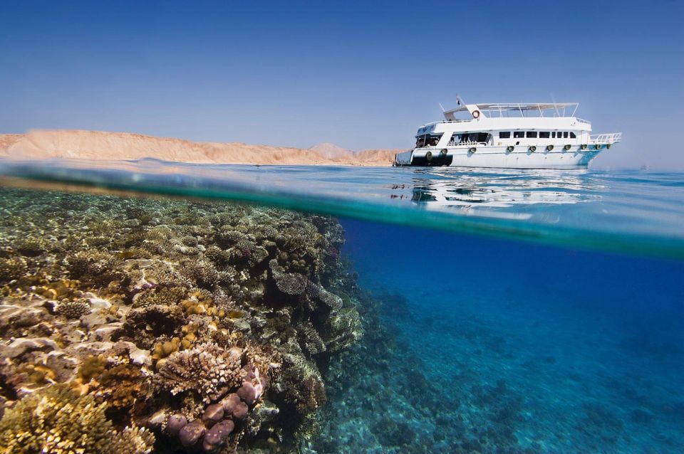 Sharm El Sheikh : Sortie en yacht et snorkeling à l'île de Tiran