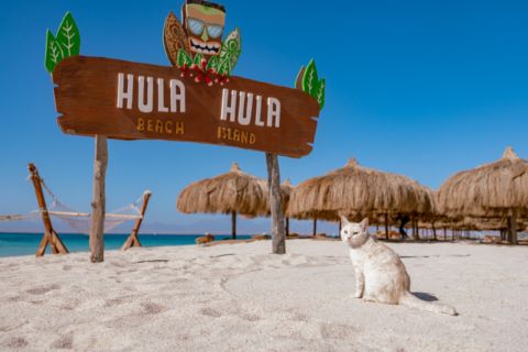 Hurghada: Hula Hula Island snorkeltur