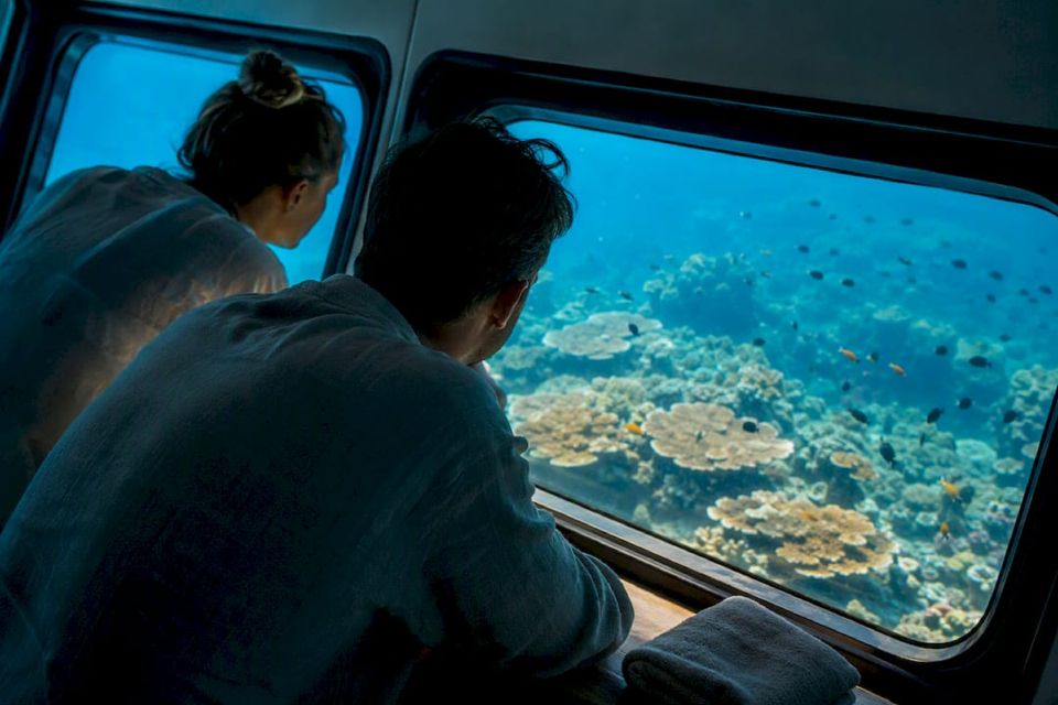 紅海のサンゴ礁を水中から眺める旅行者