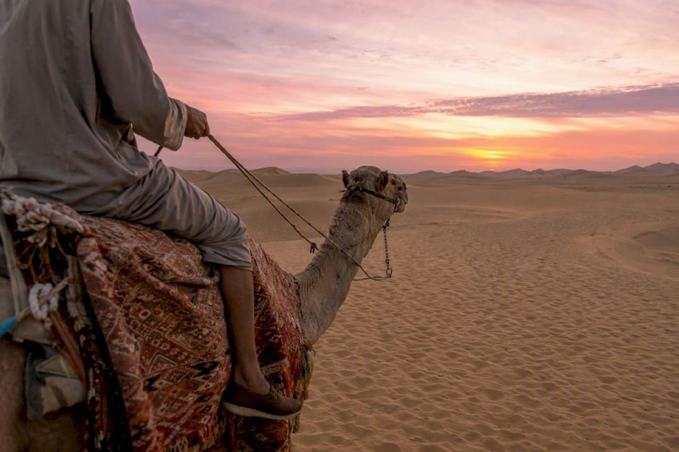 Balade à dos de chameau sur les dunes du désert au coucher du soleil