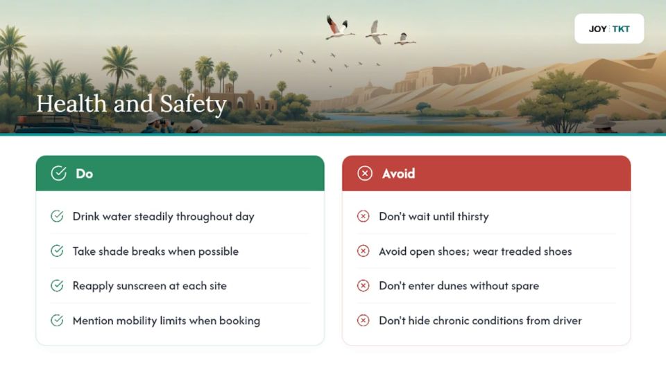 Consigli di salute e sicurezza per una gita nel Fayoum — diagramma riassuntivo