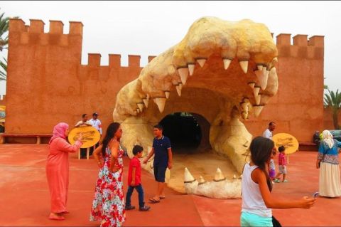 Crocoparc d'Agadir avec transfert et billet d'entrée