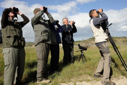Observation des oiseaux à Agadir