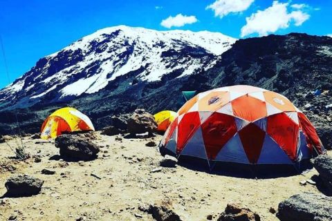 6 dagers Rongai-rute for bestigning av Kilimanjaro