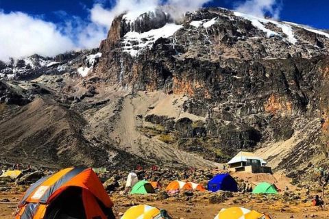 8 dager Lemosho-ruten klatring på Kilimanjaro