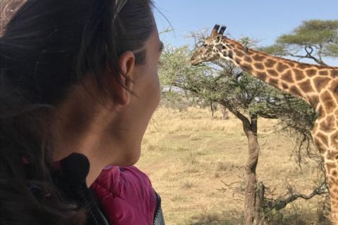 3-dagers safari til Tarangire, Lake Manyara og Ngorongoro-krateret