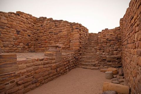 Merveilles archéologiques et naturelles - Extension au départ d'Ahmedabad