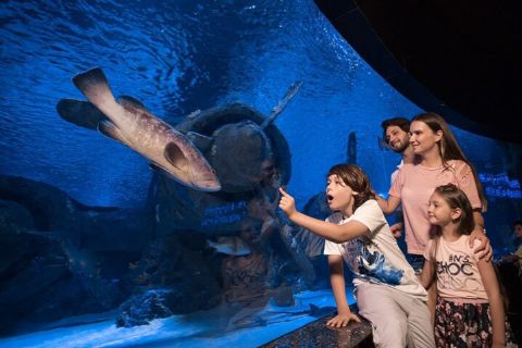 ทัวร์ Antalya Aquarium พร้อมบัตรเข้าชมและบริการรับส่งจาก Alanya โดย Joy TKT