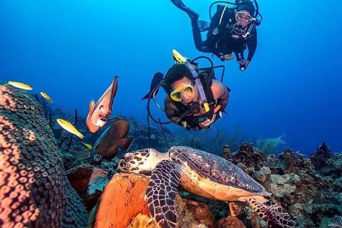 Kemer akvalanga niršanas piedzīvojums ar pusdienām un transferu