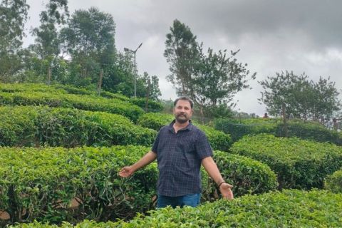 Cochin til Munnar: Rolige stier