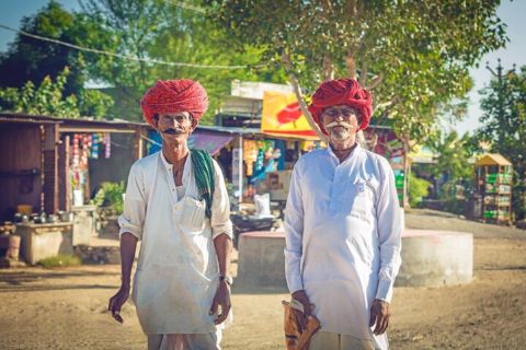 Det bedste af Rajasthan: Jaipur, Pushkar, Jodhpur, Ranakpur og Udaipur