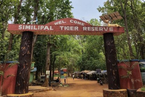 Експедиція з Бхубанешвара до Національного парку Сіміліпал