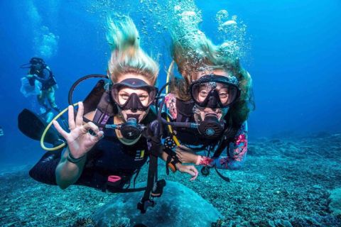 Excursie de scuba diving în Marmaris cu două scufundări, prânz și transfer