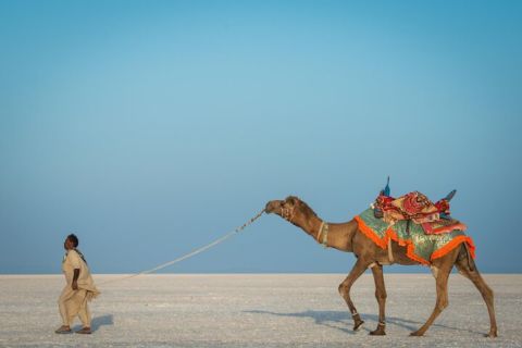 Από το Bhuj στη Λευκή Έρημο Rann of Kutch