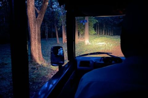 Tagesausflug von Goa zum Anshi-Nationalpark (Kali Tiger Reserve)