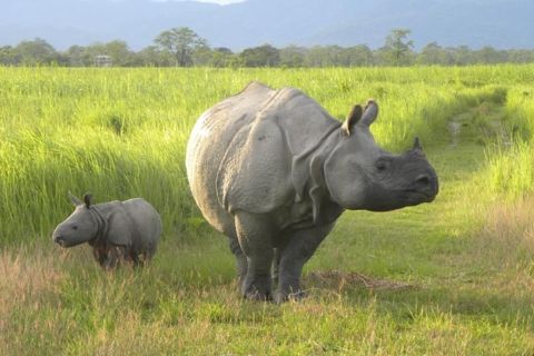Assam & Arunachal : Circuit des monastères bouddhistes et de la culture tribale