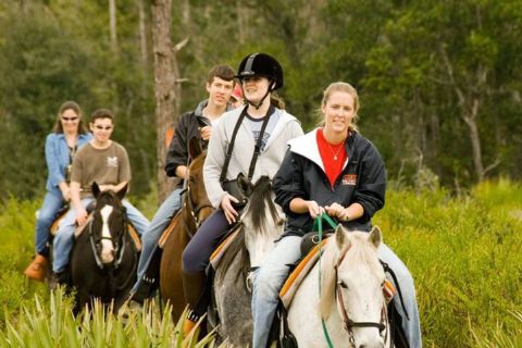 Kemer Horseback Riding Tour with Roundtrip Transfer