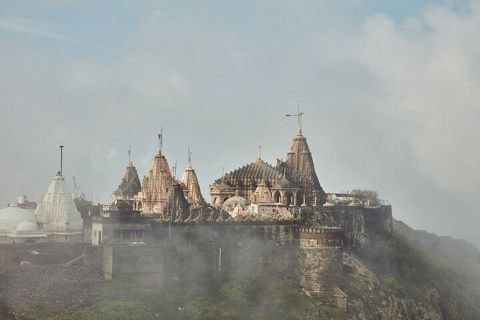 Auf Entdeckungsreise durch Gujarat: Tempel, Geschichte und wilde Natur