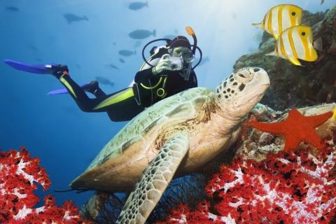 Experiencia de buceo en Kusadasi con instructor y traslado