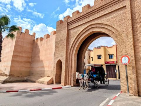 Agadir: Celodnevni izlet do Taroudanta i Tiouta