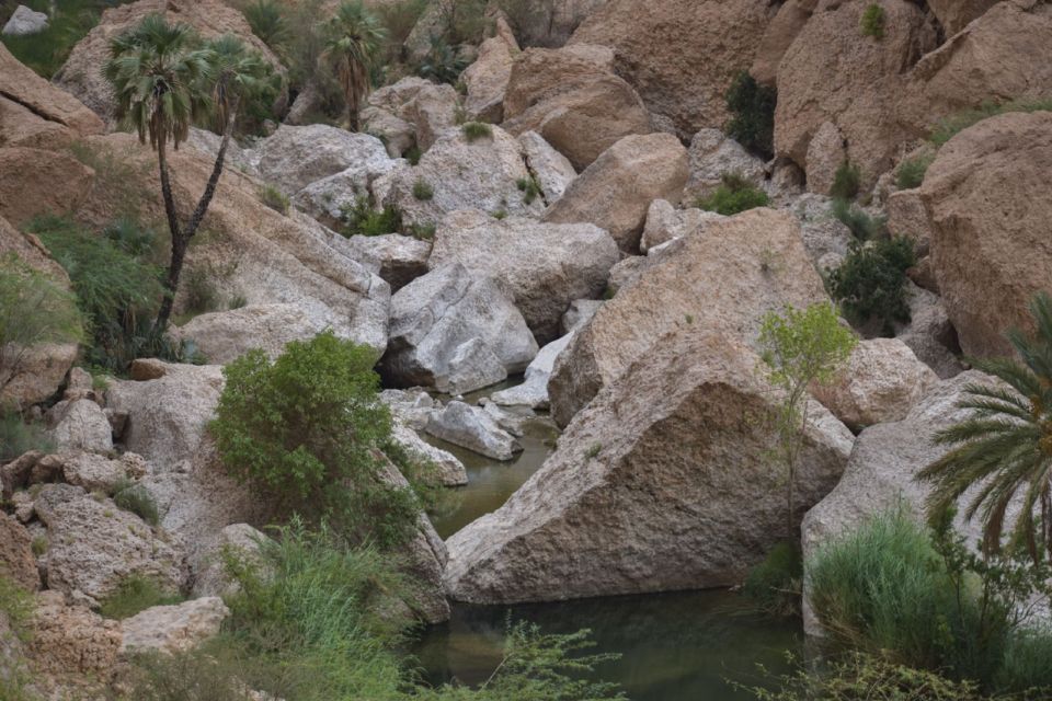 Rocky gorge with palm trees and pools of water at Paradise Valley near Agadir