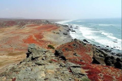 Agadir: Izlet do plaže Legzira i crvenih litica