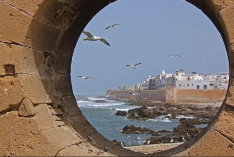 Agadir: Essaouira Day Trip with Medina and Port