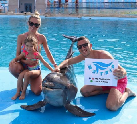Dolphin World-show med hvalrosser og henting