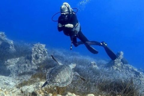 Obtén tu certificación PADI OPEN WATER DIVER (2-3 días).