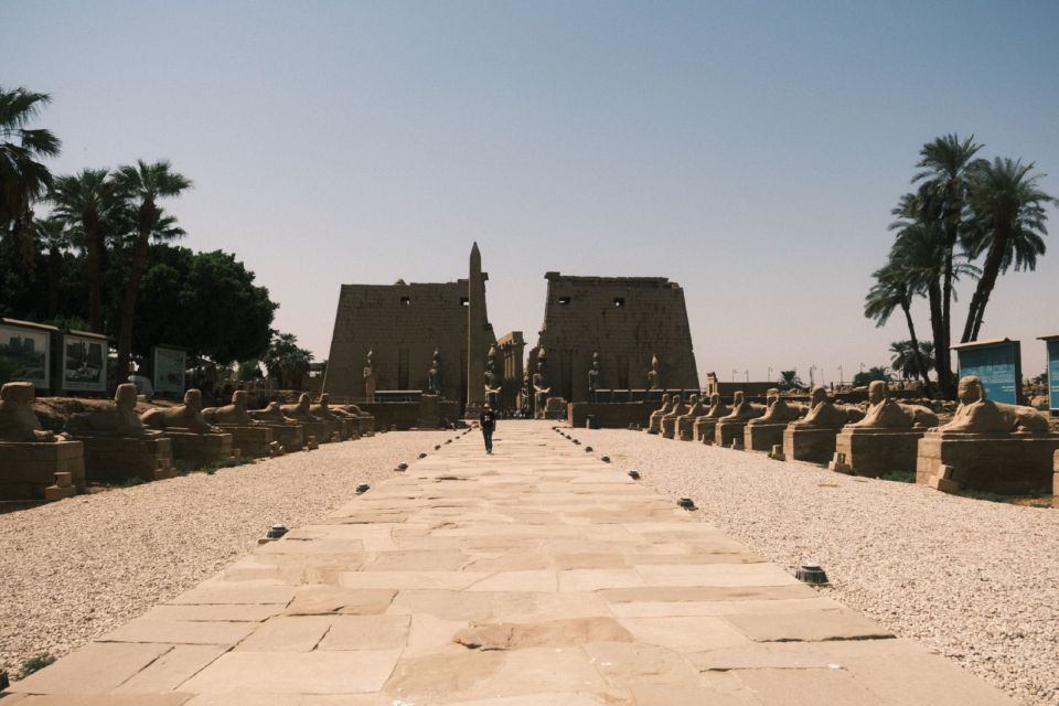 Aleea Sfinxilor care duce spre Templul Luxor în Luxor, Egipt.
