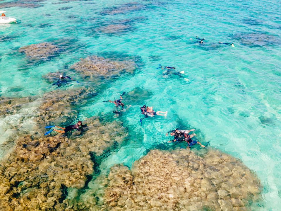 Snorkellers swim above a shallow reef near Marsa Alam, seen from above in clear water.
