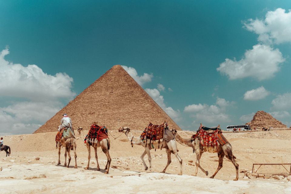 Camels led past the Great Pyramid of Giza under a blue sky with clouds.