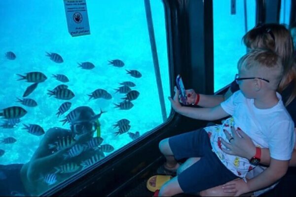 Red Sea Semi-Submarine Excursion: Marine Life Discovery